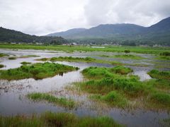 -腾冲北海湿地