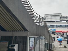 -重庆市奥林匹克体育中心-游泳跳水馆