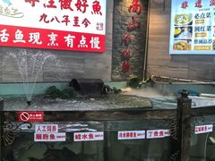 -楚鱼王·河鲜·湖北菜(华农店)