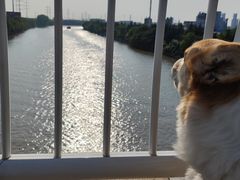 -常州古运河