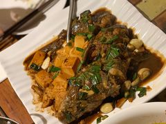 野生鱼钩炖豆腐-青桃餐厅