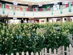 -万达广场(福州金融街店)