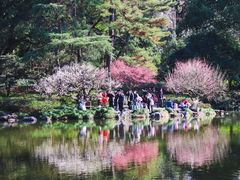 -杭州植物园