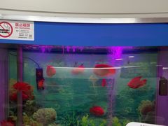 -雅悦齿科(顾村公园店)