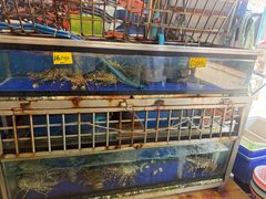 -两兄弟Song Pee Nong(2号店)