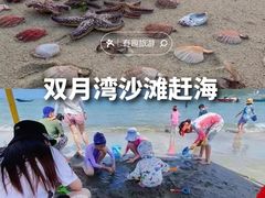 -广东惠东海龟国家级自然保护区