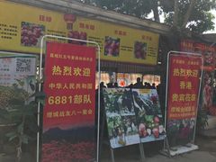 -荔枝红五号农庄