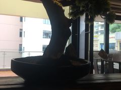 -呷哺呷哺(松江开元店)