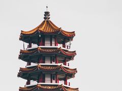 -深圳仙湖植物园