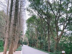 -同里国家湿地公园