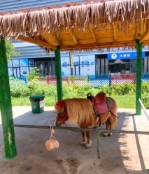 -萌宠亲子动物乐园(槐房万达店)