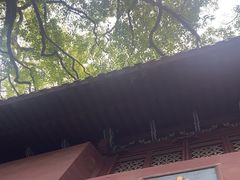 -普陀山风景名胜区-法雨禅寺