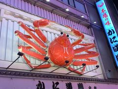 -蟹道乐(道顿堀本店)