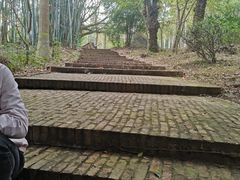 -广东茂名森林公园