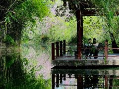 -棠湖公园