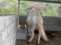 -丹樱生态园