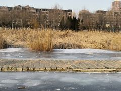 -前关湿地公园
