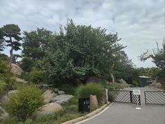 -罗红摄影艺术馆