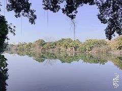 -小洲村