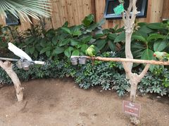 -南宫五洲植物乐园