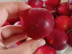 -万达影城(经区九龙城店)