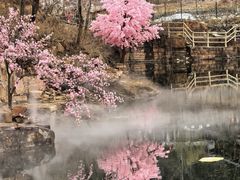 -秋沟风景区