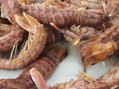 赖尿虾例牌-凤城康记饭店