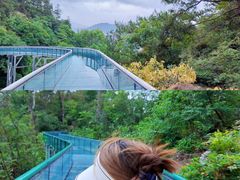 -千岛湖天屿景区
