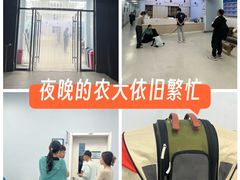-中国农业大学动物医院
