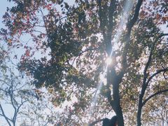 -穹窿山景区