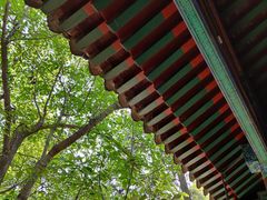 -明慧茶院(大觉寺路店)