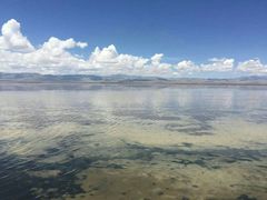 -青海茶卡盐湖文化旅游发展股份有限公司