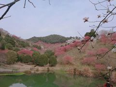 -溪口-滕头旅游景区