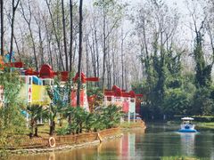 -合肥滨湖国家森林公园