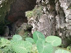 -百魔洞景区
