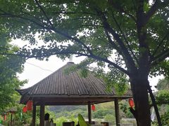 -杨家寨