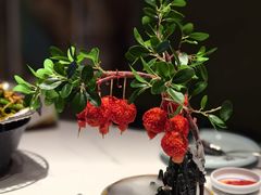 -奔跑吧陕菜·盛世长安(民乐园万达店)