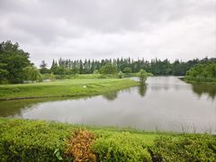-太阳岛旅游度假区