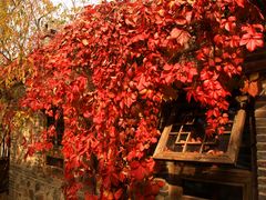 -卧龙堡客栈·中餐厅(古北水镇店)