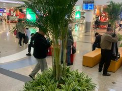 -厦门高崎国际机场-T3航站楼