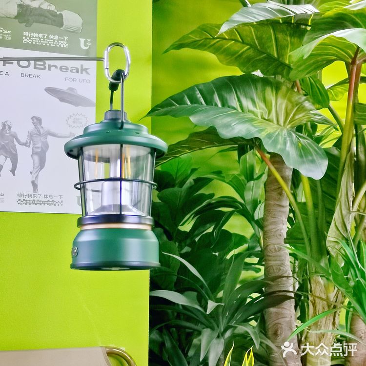 这是个绿色森林