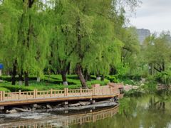 -长春市南湖公园