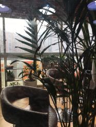 点击看大图 -HD HAIR STYLE