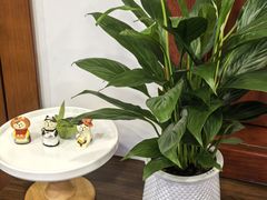 -花间烘焙BLossom Bakery