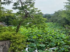 -鹤冈八幡宫