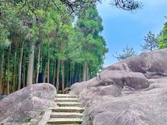 -玉苍山国家森林公园