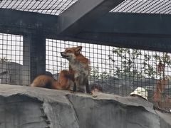 -武汉动物园
