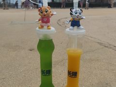 -珠海长隆海洋王国