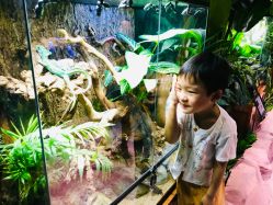 -酷嗒动物文化乐园(cutezoo西溪乐天城店)