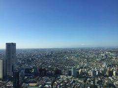 -东京都厅舍